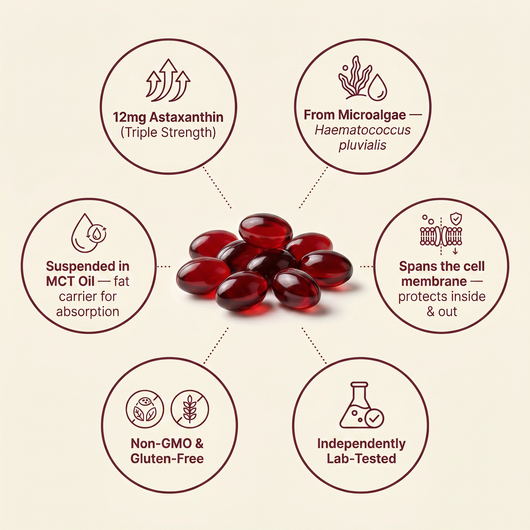 Nature's Most Powerful Antioxidant